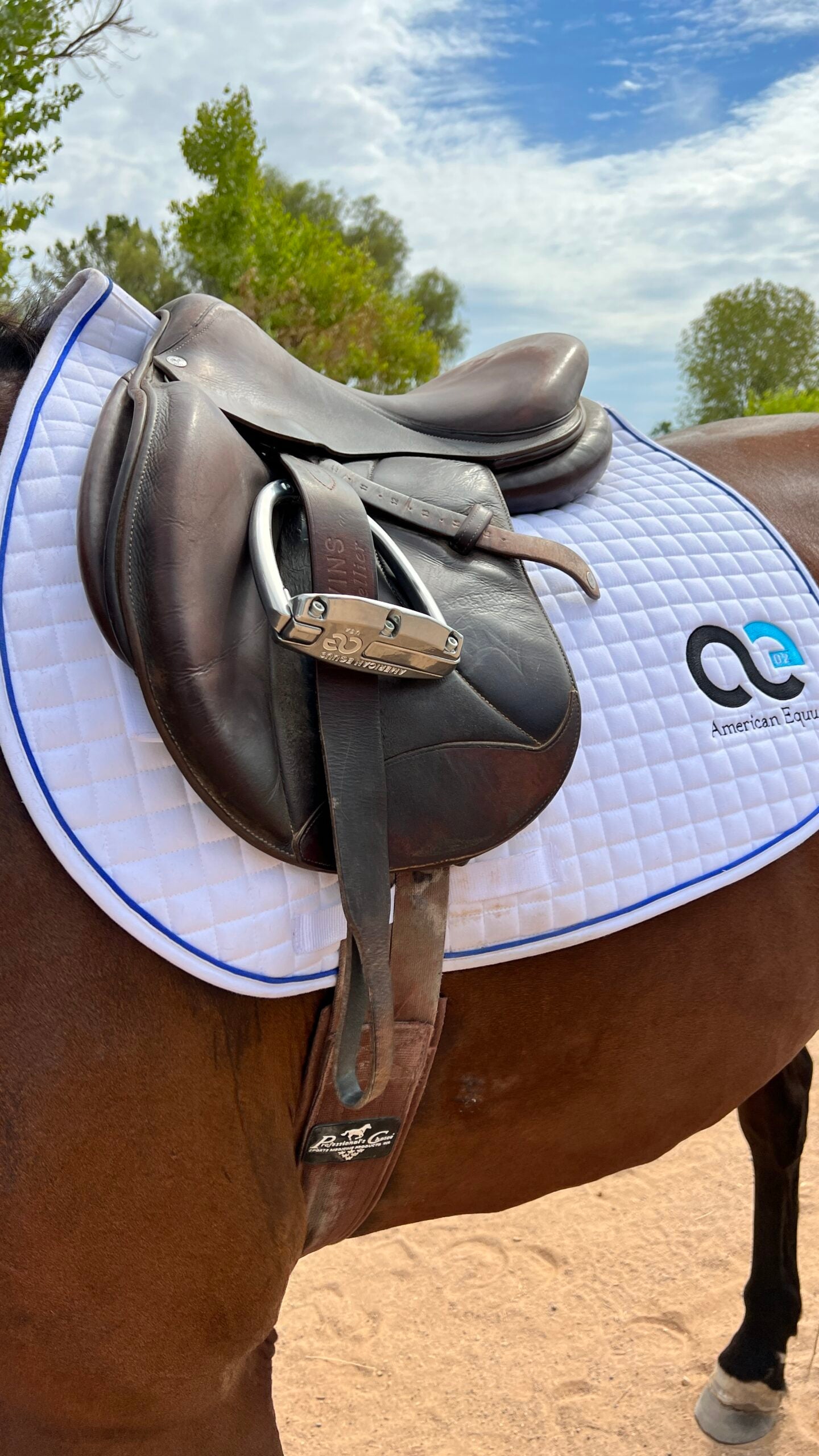 アメリカンエクウス　鐙 American Equus - Equestrian Stirrups, Spurs & Horseshoes