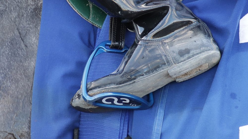 American Equus SS77 Thoroughbred Racing Irons