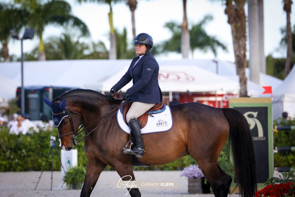 American Equus "Elite" English Stirrups Lamborghini Purple