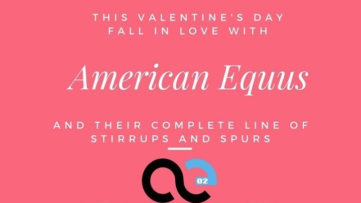 FALL IN LOVE WITH AMERICAN EQUUS