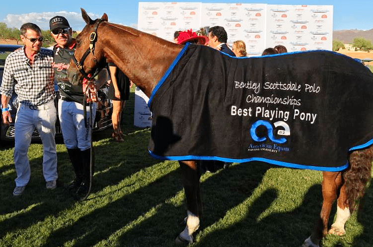 AMERICAN EQUUS PRESENTS BEST PLAYING PONY AWARD TO CARNIVAL AT 2016 MOLINA CUP