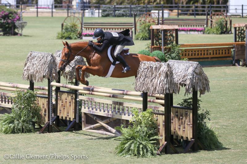 AMERICAN EQUUS CONGRATULATES CHOSEN RIDER VICTORIA COLVIN ON WEF OVERALL HUNTER RIDER CIRCUIT CHAMPIONSHIP