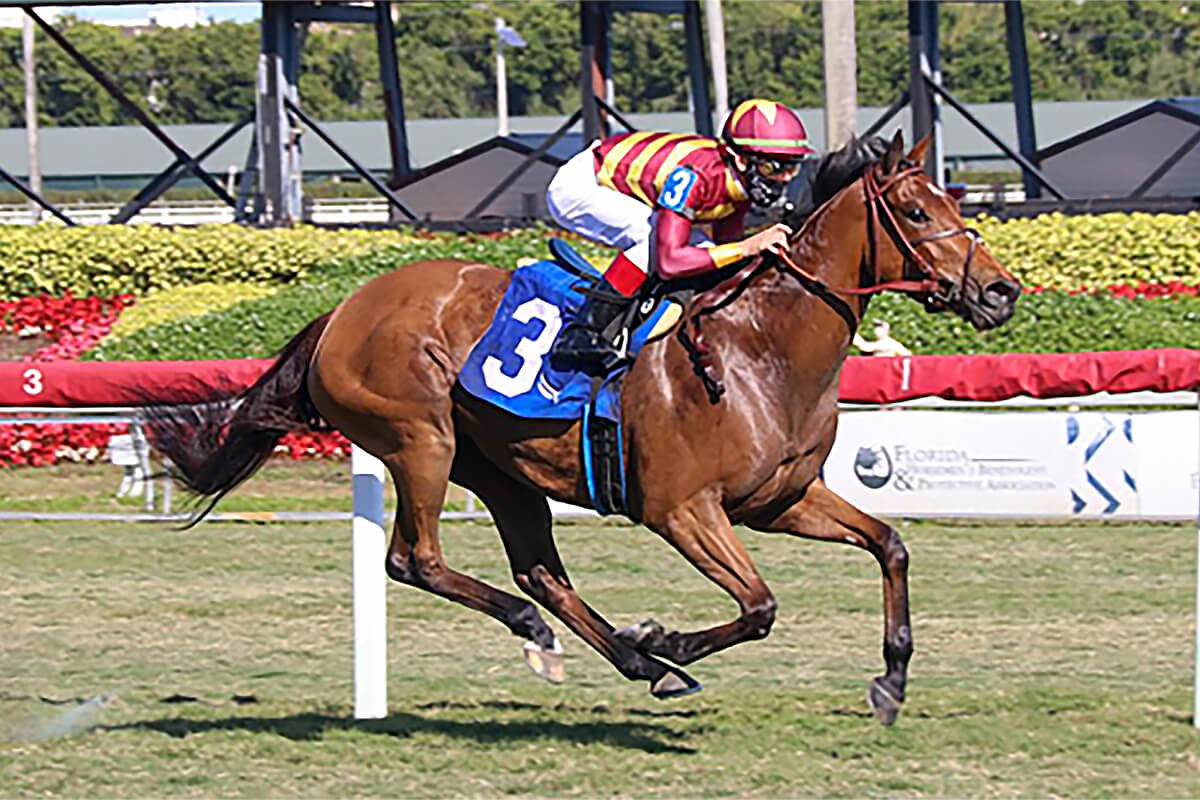 AMERICAN EQUUS CHOSEN RIDERS DOMINATE AT PEGASUS WORLD CUP INVITATIONAL