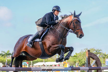 American Equus &quot;Elite&quot; English Stirrups Illusion Black