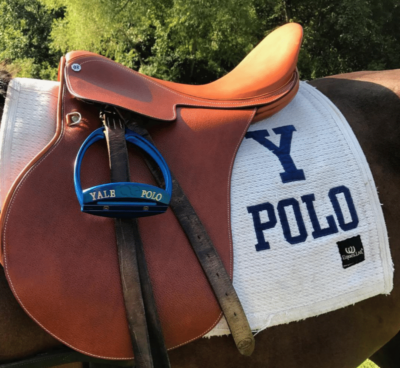 Yale Polo