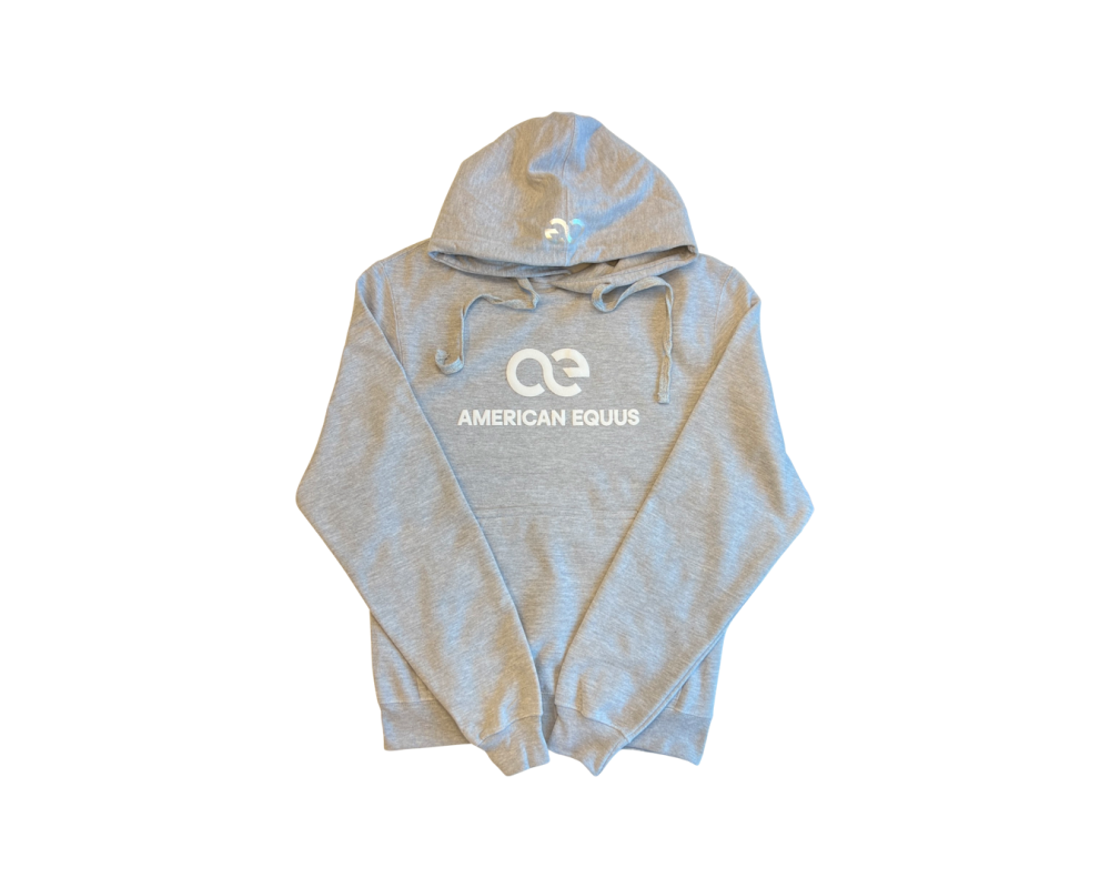AE Signature Hoodie Grey- Front