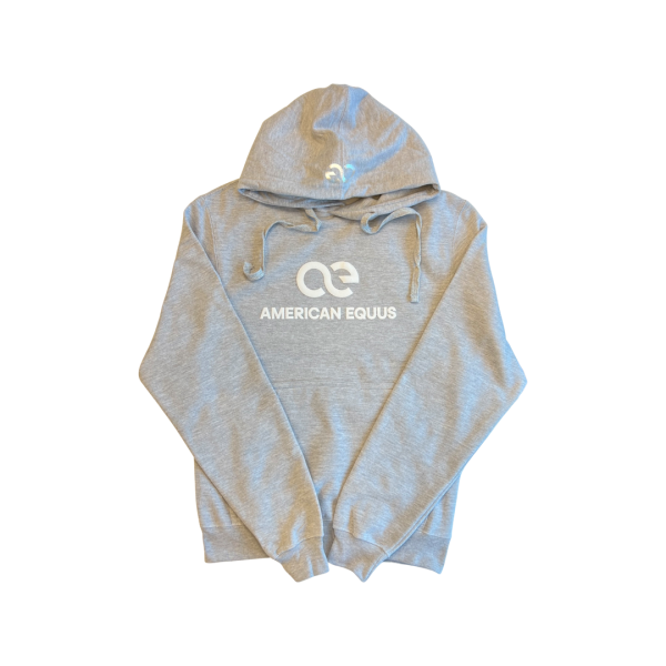 AE Signature Hoodie Grey- Front